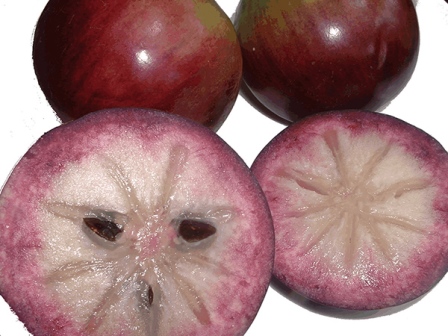 Pink Milk Fruit