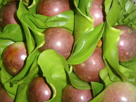 Lo Ren Vinh Kim Milk Fruit